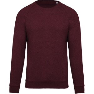 Sweat-shirt Bio col rond manches raglan homme 14