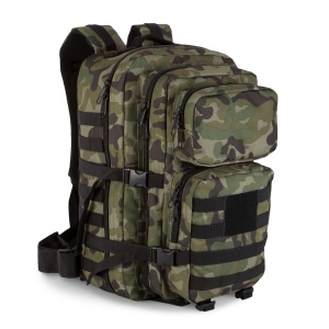 Sac à dos tactique M.O.L.L.E 6