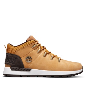 Chaussures Sprint trekker mid 6