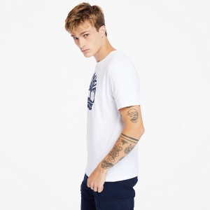 T-shirt bio Brand Tree 17