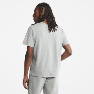 T-shirt bio Brand Tree 10