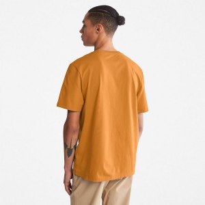 T-shirt bio Brand Tree 11