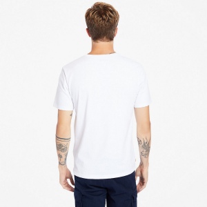 T-shirt bio Brand Tree 12
