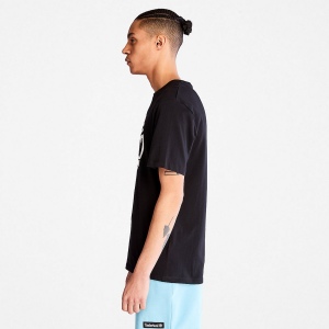 T-shirt bio Brand Tree 13