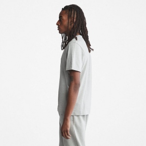 T-shirt bio Brand Tree 15