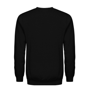 Sweat unisexe polycoton 10