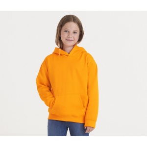 Sweat capuche