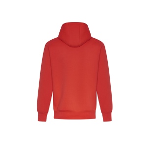 Sweat capuche lourd 21