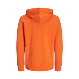 Sweat à capuche unisexe 37