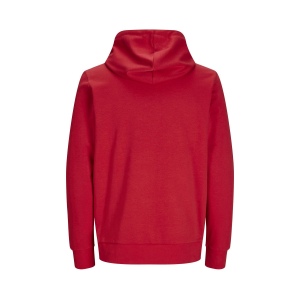 Sweat à capuche unisexe 45