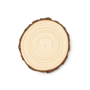 PINEA 2