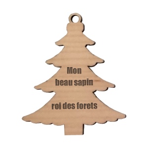 Décorations de Noël - France 2