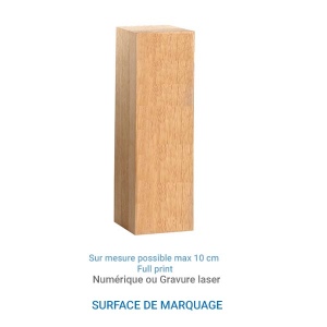 Trophée Bois BLOC 20cm - France 4