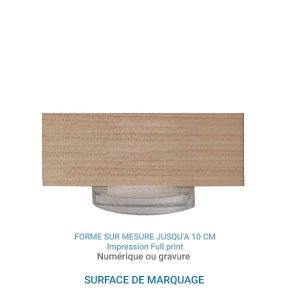 Trophée en bois SPORT bi-matière 10cm - France 2