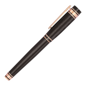 Stylo plume Bold Stripe Gun & Rosegold 5