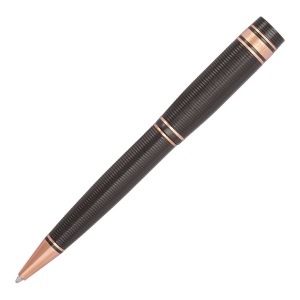 Stylo bille Bold Stripe Gun & Rosegold 5