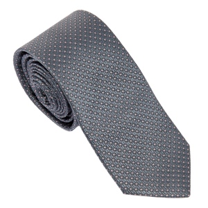 Cravate Soie Caprio Grey