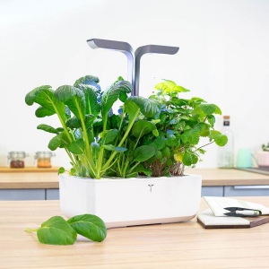 Véritable® CONNECT Infinity Grey 4