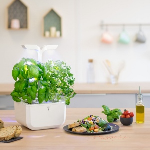 Potager Exky® CLASSIC 3