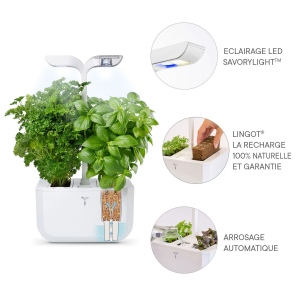 Potager Exky® CLASSIC 4