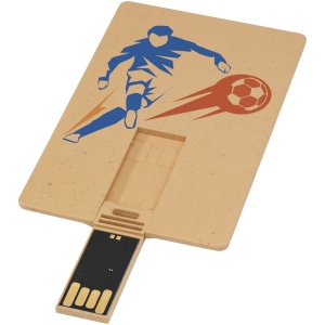 Clé USB biodégradable rectangulaire en forme de carte de crédit 4