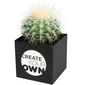Pot en aluminium avec cactus Hey Pots 8