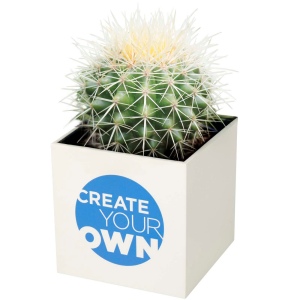 Pot en aluminium avec cactus Hey Pots 9