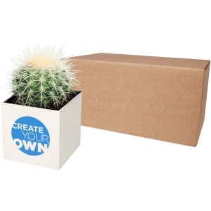 Pot en aluminium avec cactus Hey Pots 3