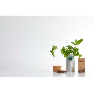 Jardinet de bureau Hey Pots avec mélange de fleurs 14