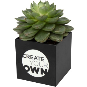 Pot en aluminium avec plante grasse Hey Pots 8