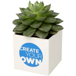 Pot en aluminium avec plante grasse Hey Pots 9