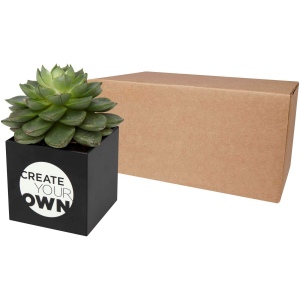 Pot en aluminium avec plante grasse Hey Pots 2