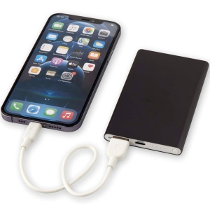 Batterie de secours en aluminium Pep de type-C de 4 000 mAh 31