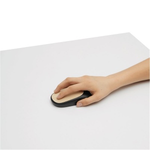 Souris d’ordinateur optique DPI MASTER 6