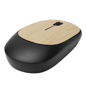 Souris d’ordinateur optique DPI MASTER 2