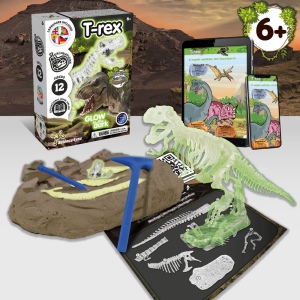 Fossil Excavation Kit I. Jeu éducatif pour enfants 4