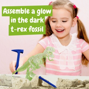 Fossil Excavation Kit I. Jeu éducatif pour enfants 5