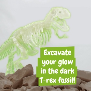 Fossil Excavation Kit I. Jeu éducatif pour enfants 6