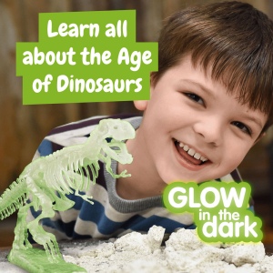 Fossil Excavation Kit I. Jeu éducatif pour enfants 7
