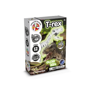 Fossil Excavation Kit I. Jeu éducatif pour enfants 2