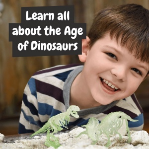 2 in 1 Fossil Excavation Kit I. Jeu éducatif pour enfants 7
