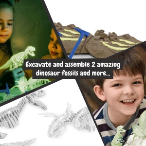 2 in 1 Fossil Excavation Kit I. Jeu éducatif pour enfants 8