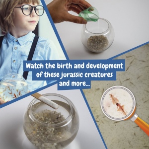 Jurassic Pets Kit I. Jeu éducatif pour enfants 3