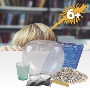 Jurassic Pets Kit I. Jeu éducatif pour enfants 6