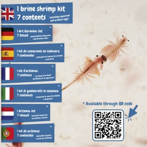 Jurassic Pets Kit I. Jeu éducatif pour enfants 7