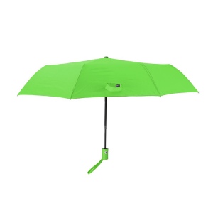 Parapluie - Santana 6