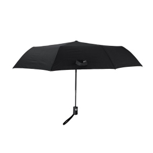 Parapluie - Santana 4