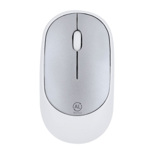 Souris - Doryt RCS 2