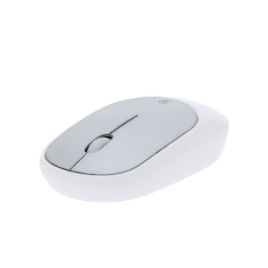 Souris - Doryt RCS