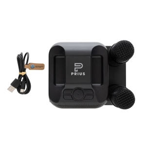 Set karaoké avec double micro en plastique RCS SingVIBE 10